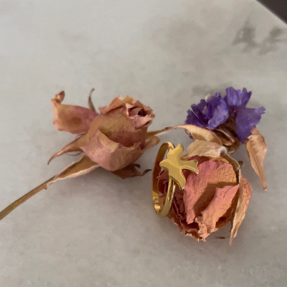 ‘Fly Free’ Bird Ring Adjustable - image 6